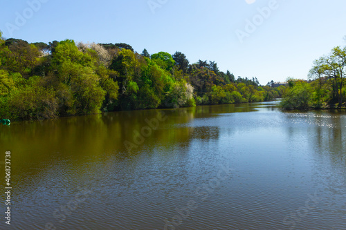Beautiful scenery of a lake surrounded by a forest. Peaceful atmosphere.