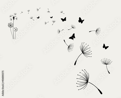 Dandelion with flying butterflies and seeds, vector illustration