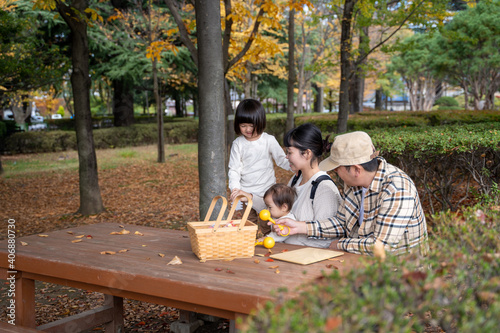 秋の公園で遊ぶ家族・ファミリー 