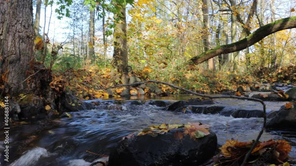 A water cascade in autumn forest with fallen leaves. Water flows around the stones in the river. A water cascade in autumn forest with fallen leaves. Water flows around the stones in the river.