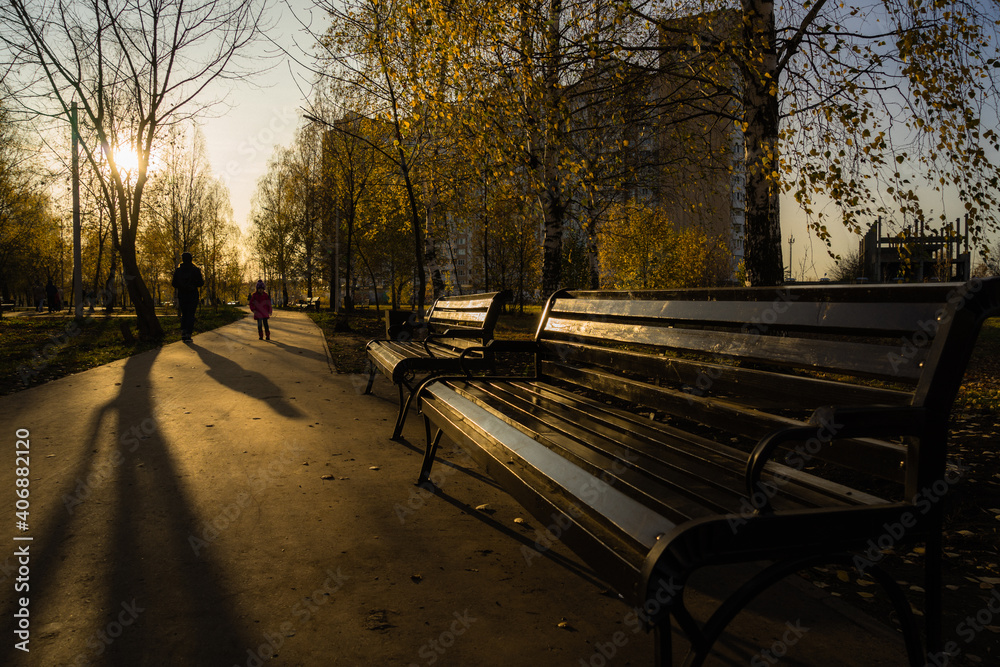 autumn in the park