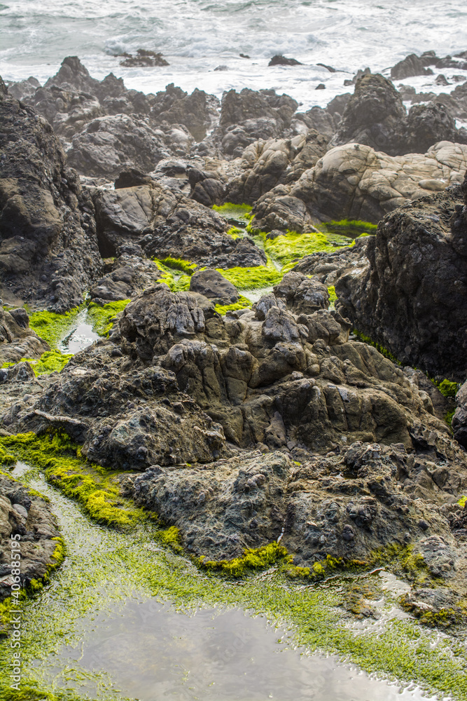 Black jagged rock ocean beach green algae . Black jagged rock ocean beach green algae .