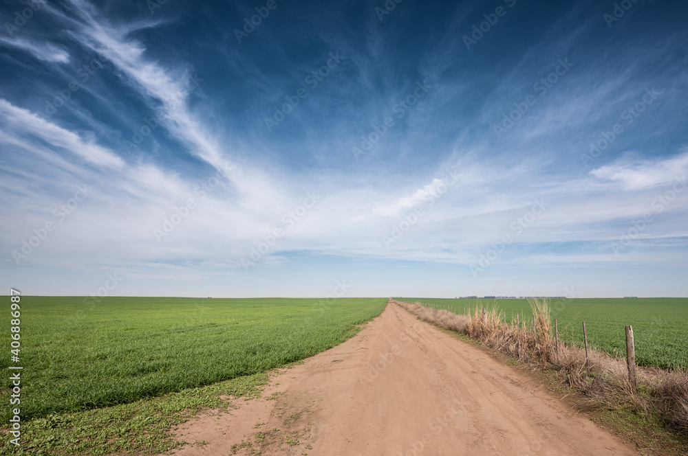 Fototapeta premium Dirt road and plantation in Argentina