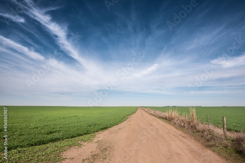 Dirt road and plantation in Argentina