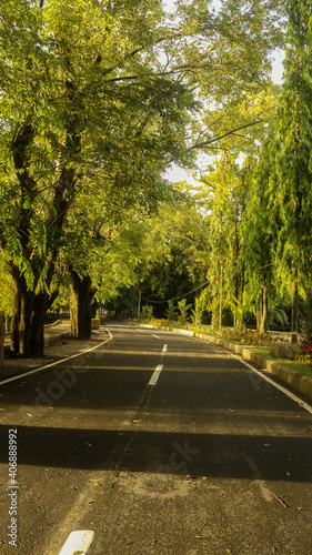 road in the park