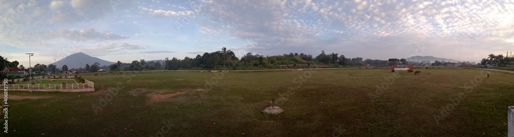 panorama of fields and horses