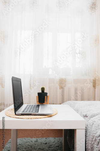 cozy home workplace, thin silver laptop with cactus, sofa with fluffy gray blanket, vertical content, selective focus © Aleksandra