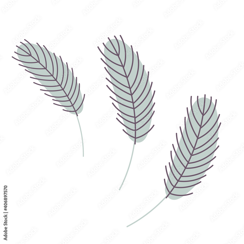  Bird's feather isolated on a white background. Chicken or goose feather. Design for Easter, Christmas, postcards, stickers. Flat vector illustration