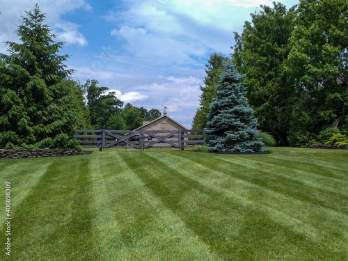 Freshly Mown Lawn