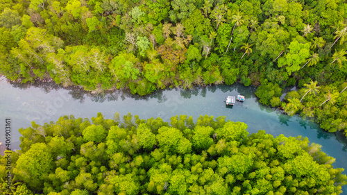 Aerial view of mangrove forest and river on the Kood island  Thailand.
