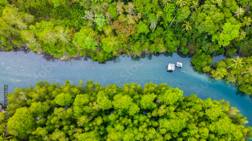 Aerial view of mangrove forest and river on the Kood island, Thailand.
