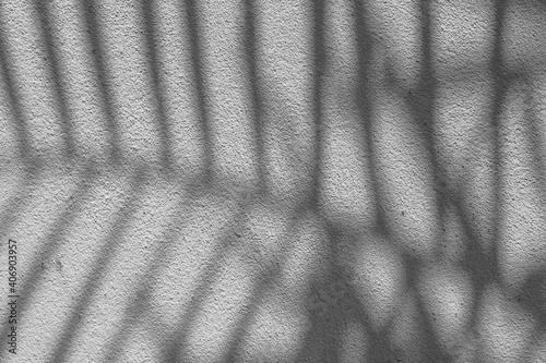 Black and White abstract background texture of shadows leaf on a concrete wall.