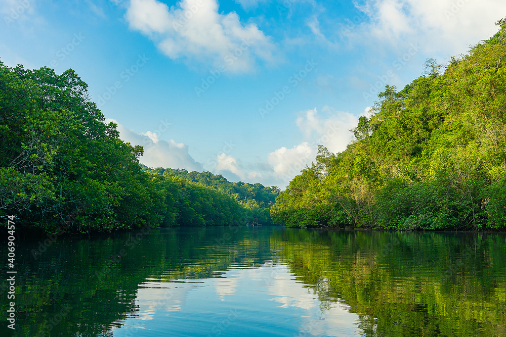 Beautiful natural scenery of river in southeast Asia tropical green forest. Beautiful natural scenery of river in southeast Asia tropical green forest.