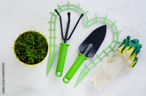 Gardening tools on white background  flat lay  copy space text  top view. Concept of hobby  springtime  garden maintenance  landscaping  transplanting plants  gardening at home   planting