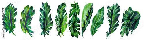Set of tropical leaves.Botanical watercolor illustrations of the jungle, floral elements.Сollection of exotic banana leaves isolated on a white background. Horizontal border.For design and decoration.