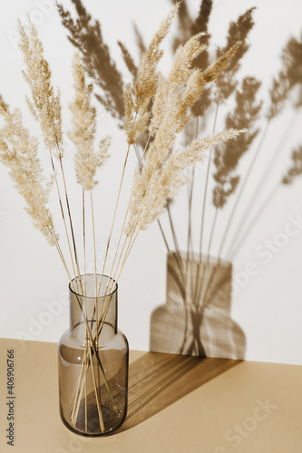 Pampas grass branches in vase on pastel neutral beige background with sun light and trendy shadow. Reeds foliage. Modern interior design concept. photo