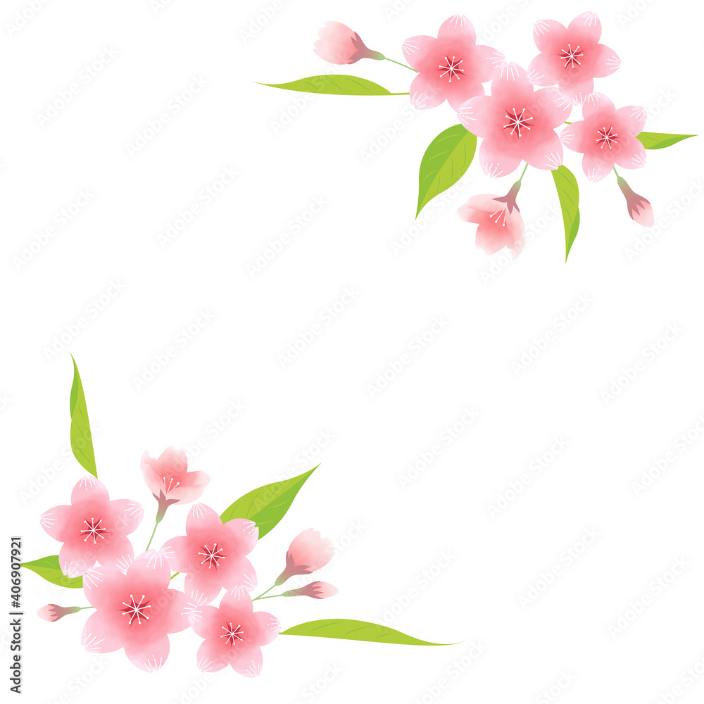 Illustration material of cherry blossoms (vector, white background, cut out)
