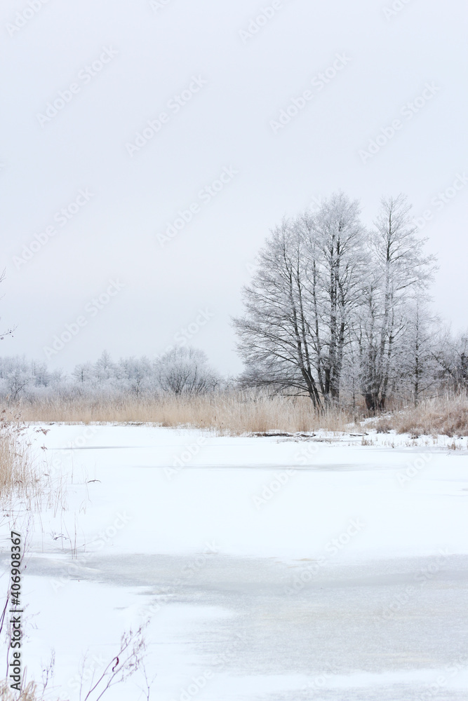 winter landscape with snowy trees and the river winter landscape with snowy trees and the river