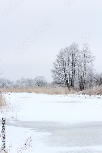 winter landscape with snowy trees and the river