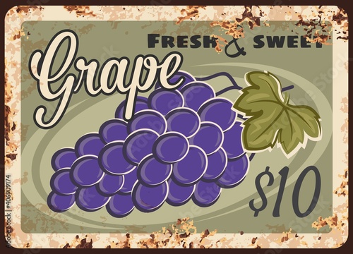 Grape rusty metal plate, vector vintage rust tin sign with bunch of ripe black grapes with leaf. Shop or farm promo, ferruginous label, vineyard production advertising retro poster with price tag