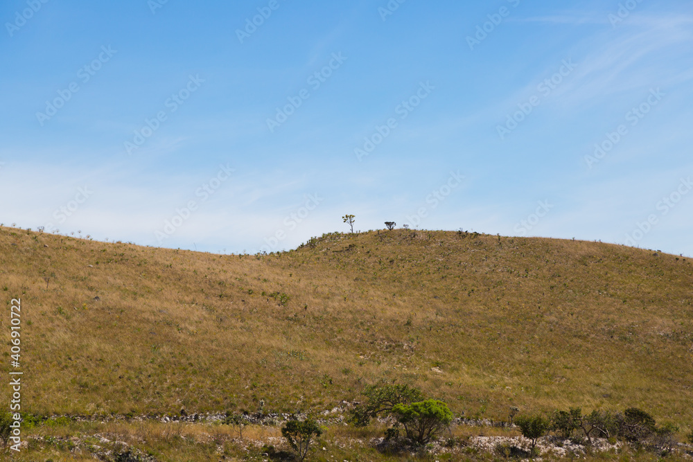 Campos Rupestres (a special type of ecoregion in Brazi) in the Serra do Cipo National Park in Minas Gerais, Brazil