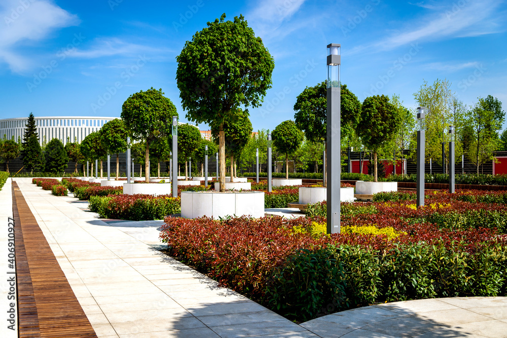 Obraz premium Wooden, circular, brown benches around young standard trees growing in large round containers, placed between bushes