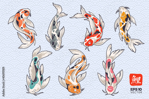 Koi Fish Vector Set