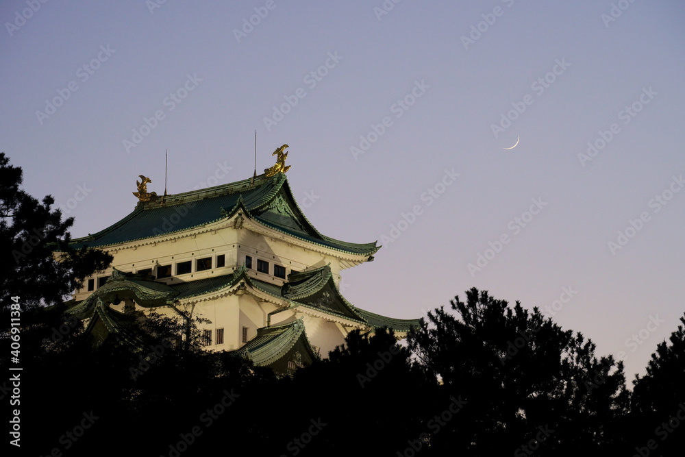 Fototapeta premium Crescent moon and castle