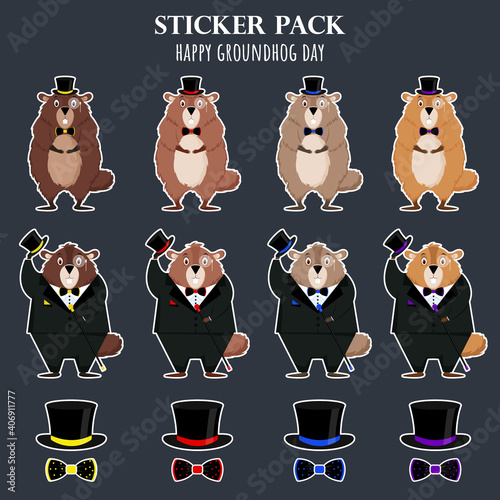Happy Groundhog Day. A set of funny groundhog stickers of different colors. Vector illustration.