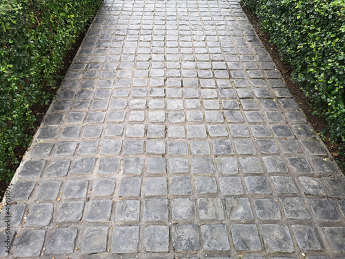 Stamp concrete black color hardener printing patterns on the cement or mortar surface block shape Square pattern material rough texture background corridor between Small leaves green bush tree photo