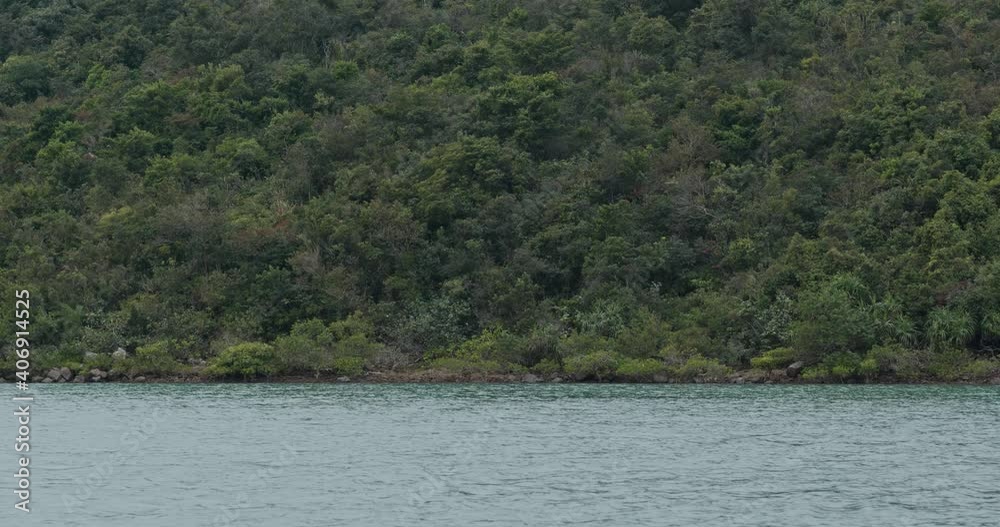 Lush green canopy over the mountain with the sea Lush green canopy over the mountain with the sea