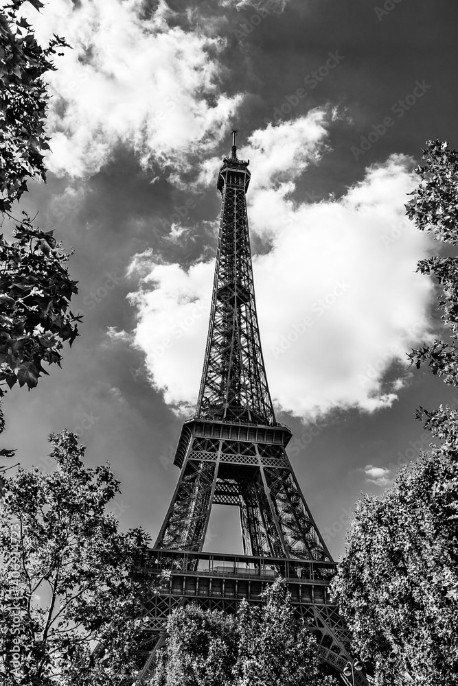 The Eiffel Tower surrounded by tree leaves in Paris, France with white clouds in the background in black and white