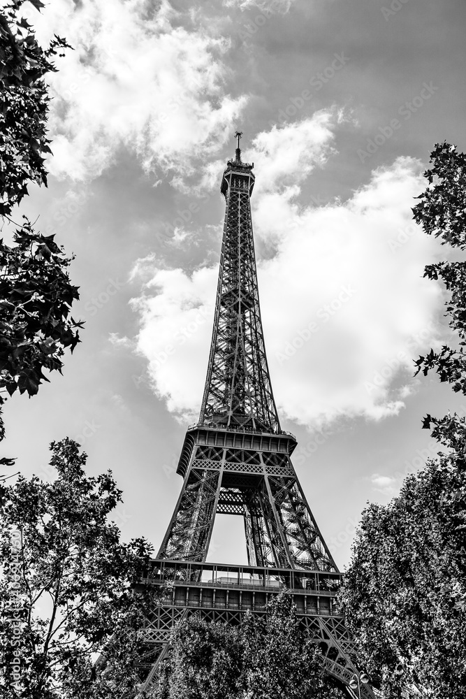 The Eiffel Tower surrounded by tree leaves in Paris, France with white clouds in the background in black and white
