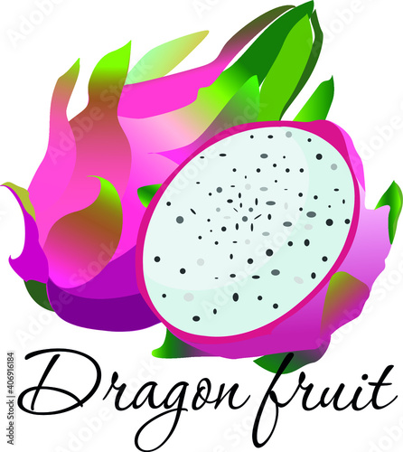 Exotic tropical dragon fruit vector illustration. Pink and white-fleshed pitahaya with green leaves on the top. Tropic cocktail recipe, juice packaging design. Isolated on white