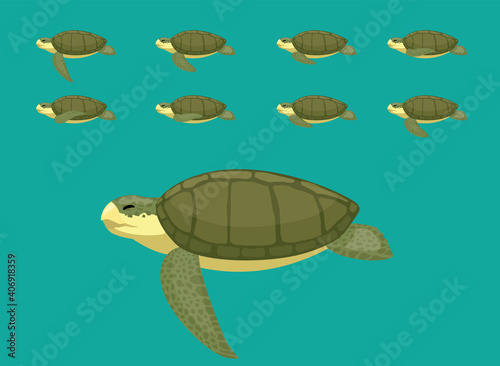 Animal Animation Sequence Kemp's Ridley Cartoon Vector
