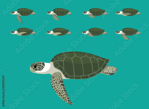 Animal Animation Sequence Olive Ridley Cartoon Vector