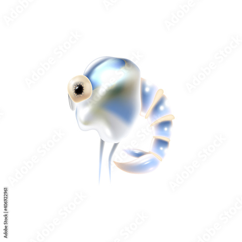 Plankton Realistic Illustration