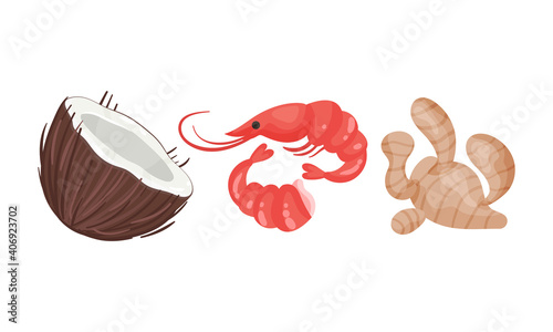 Coconut and Shrimp as Ingredients for Tom Yum or Tom Yam Thai Soup Vector Set