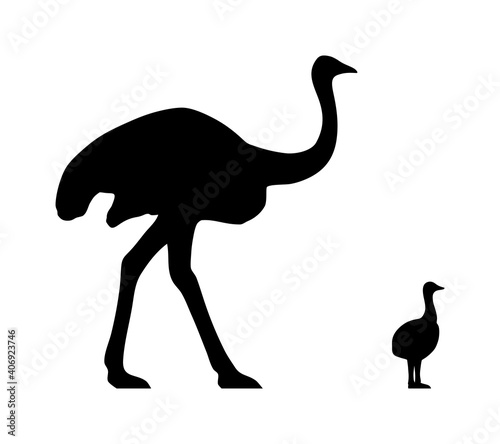 Black silhouettes of standing ostrich and chick isolated on white background. Vector illustration