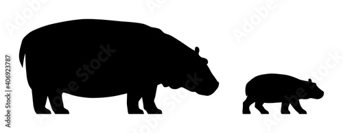 Black silhouettes of standing hippopotamus and calf isolated on white background. Vector illustration