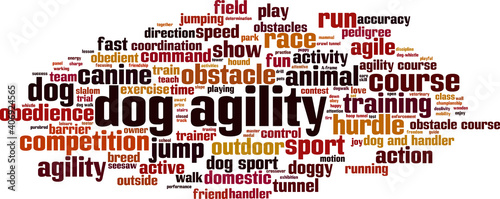 Dog agility word cloud
