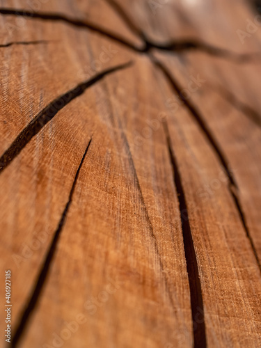 close up of a wooden texture © Thanh