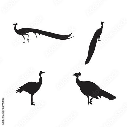 collection of peacock animal silhouettes vector illustration