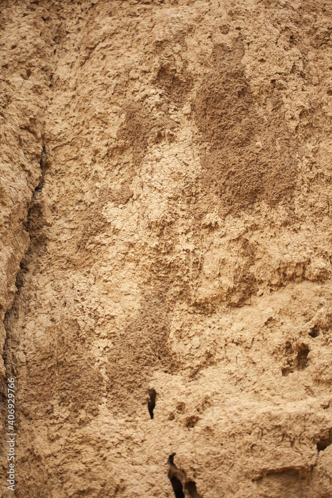 Obraz premium Abstract closeup background and texture of dry Soil inside a mine with holes made by insects.