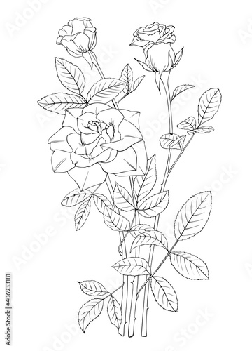 Rose black and white drawing line art. Vector tattoo