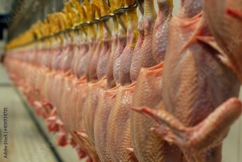 Poultry Meat Processing.