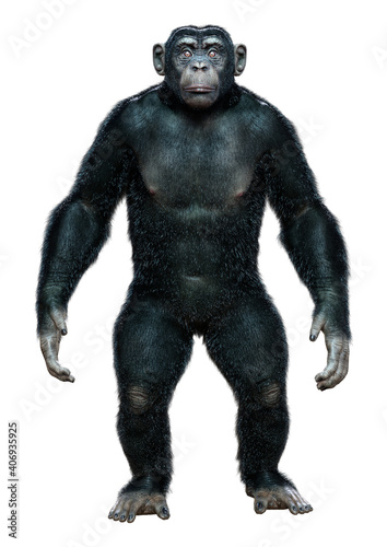 3D Rendering Chimpanzee on White