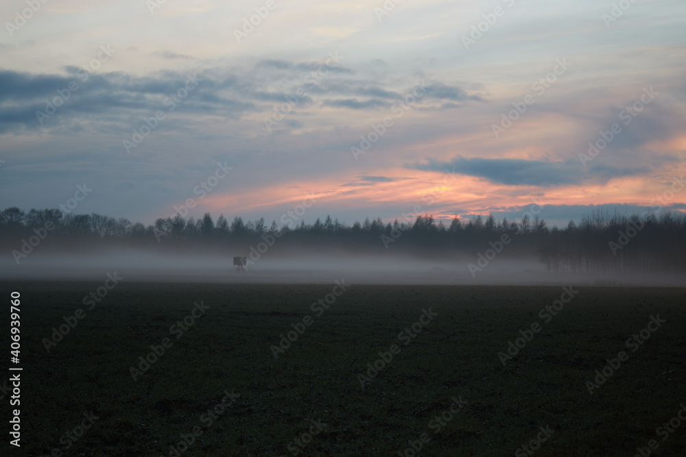 Fototapeta premium Landscape with a hunter high seat in the evening with fog and sunset