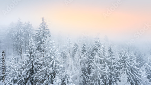 View over foggy winter forest covered by snow at sunset
