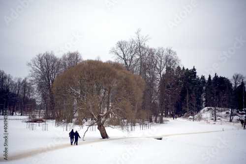 Winter in park-like estate Monrepos. Vyborg, Russia.